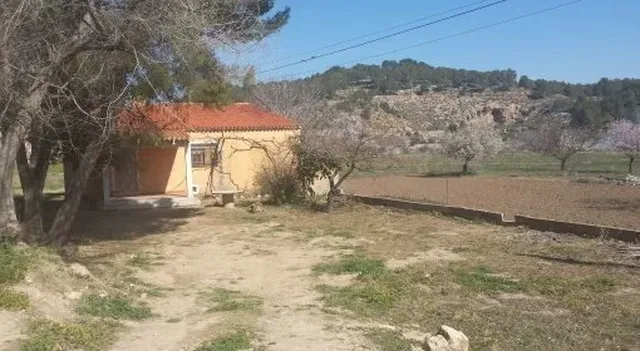 Земельный участок в Айора