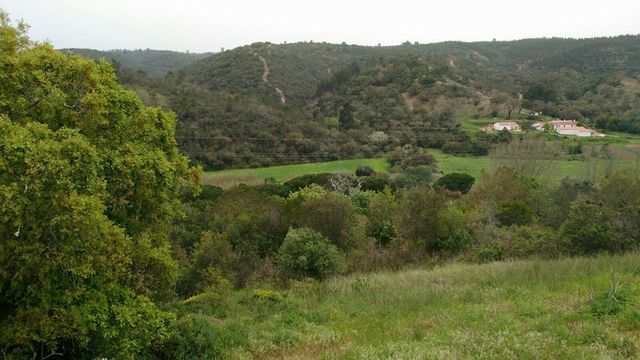 Земельный участок в Алжезур