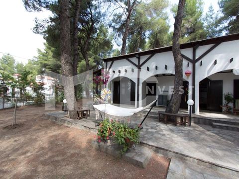 Отдельный дом в Каллифея (Кассандра)