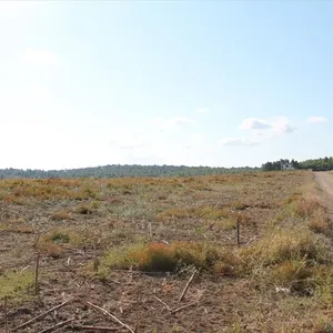 Земельный участок в Kassandra Municipality, фото 2