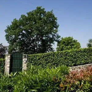 Квартира в Паденге-суль-Гарда, фото 3