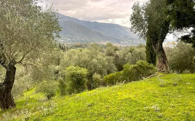 Земельный участок в Corfu