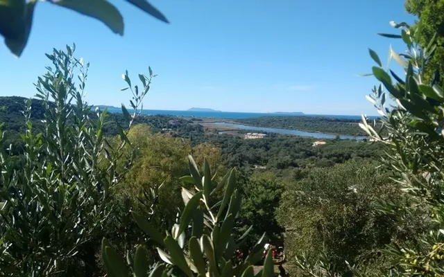 Земельный участок в Corfu