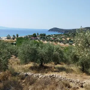 Земельный участок в Aristotle University of Thessaloniki, фото 3