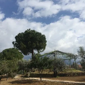 Вилла в Оба Махаллеси, фото 3