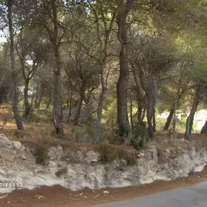 Квартира в Морайра, фото 5