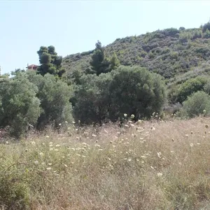 Земельный участок в Kassandra Municipality, фото 5