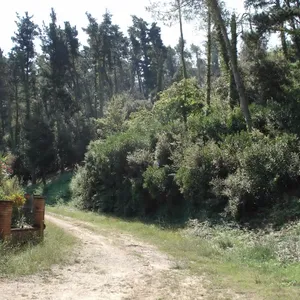 Вилла в Валломаны, фото 4