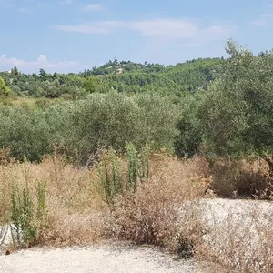 Земельный участок в Kassandra Municipality, фото 5