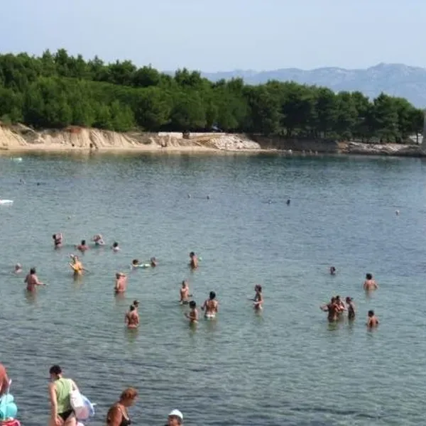 Земельный участок в Вир, фото 1