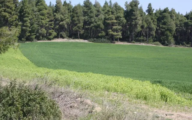 Земельный участок в Kassandra Municipality