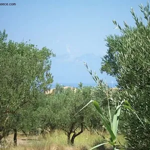 Земельный участок в Геракари, фото 4