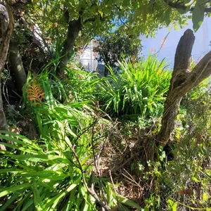 Земельный участок в Corfu, фото 4