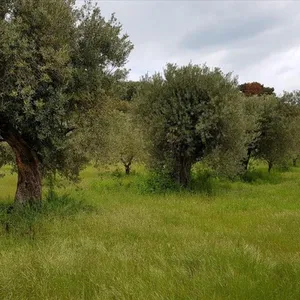 Земельный участок в Эгейские острова, фото 3
