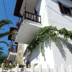 Сфера услуг в Халкидики, фото 2