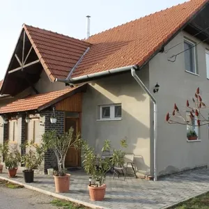 Отдельный дом в Рези, фото 2