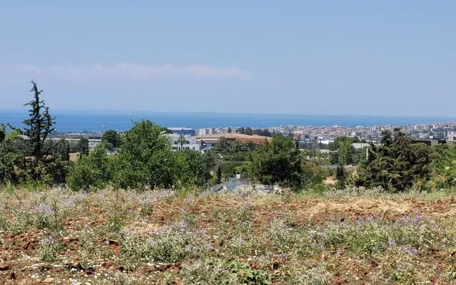 Земельный участок в Панорама