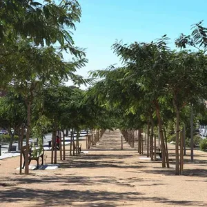 Квартира в Аликанте, фото 4
