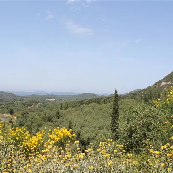 Земельный участок в Corfu, фото 1
