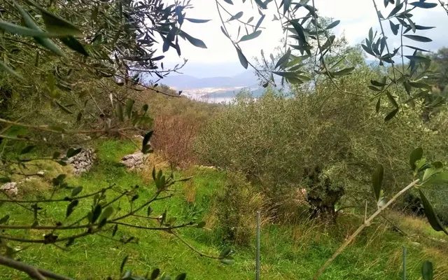 Земельный участок в Corfu