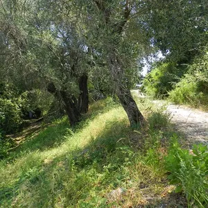 Земельный участок в Corfu, фото 4