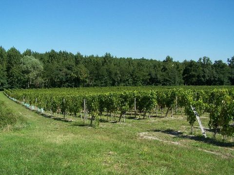 Замок в Бордо