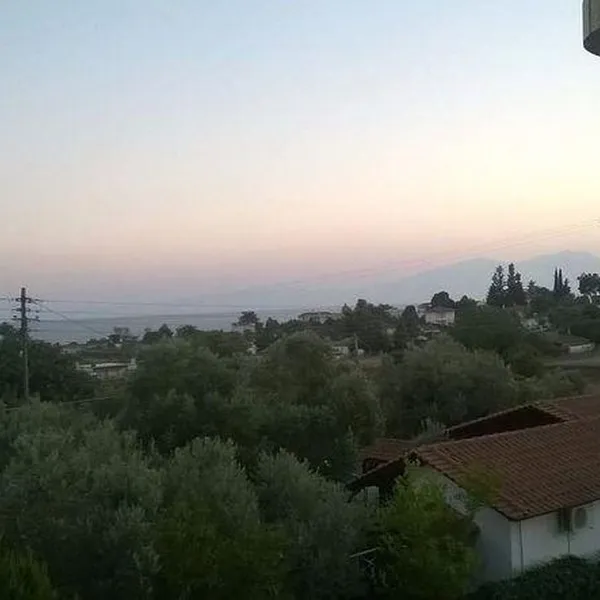 Дом в Аристотелус, фото 1