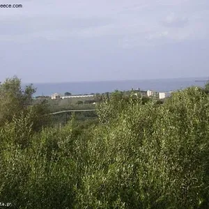 Земельный участок в Трагаки, фото 3