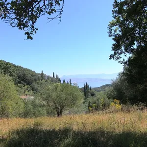 Земельный участок в Corfu, фото 3