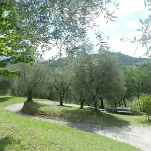 Отдельный дом в Лукка, фото 5