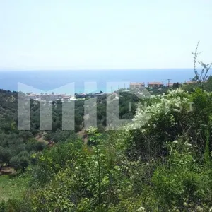 Земельный участок в Ситониа, фото 5