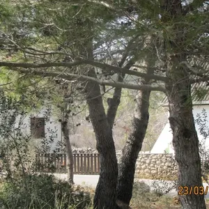 Земельный участок в Вир, фото 5
