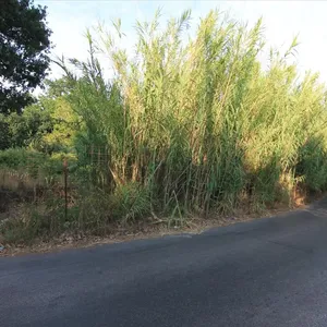 Земельный участок в Corfu, фото 5