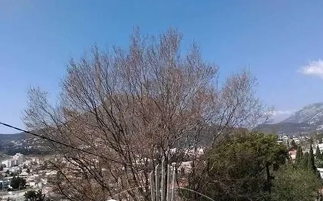 Отдельный дом в Сутоморе