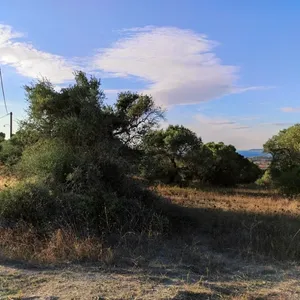 Земельный участок в Kassandra Municipality, фото 4