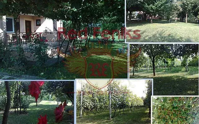 Дом в Даниловград
