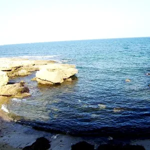 Бунгало в Торревьеха, фото 4