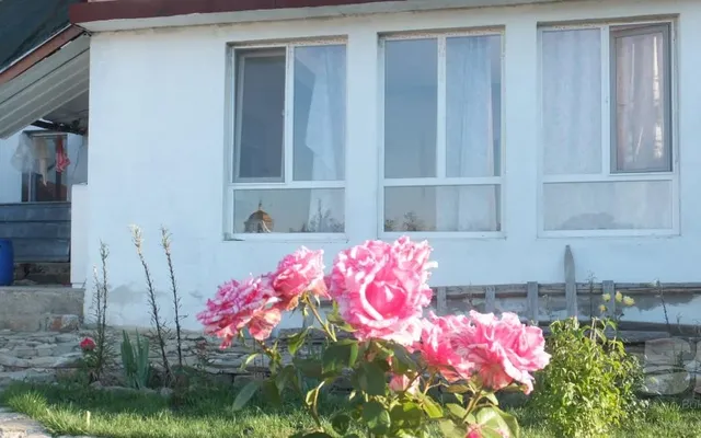 Отдельный дом в Подвис