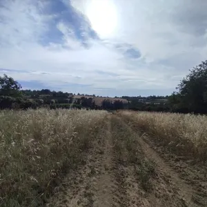 Земельный участок в Микра, фото 3