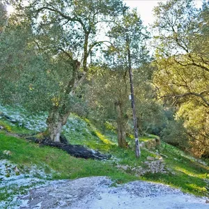 Земельный участок в Corfu, фото 4