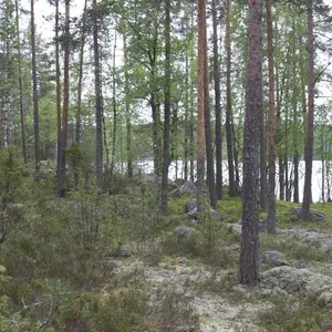 Земельный участок в Пуумала, фото 3