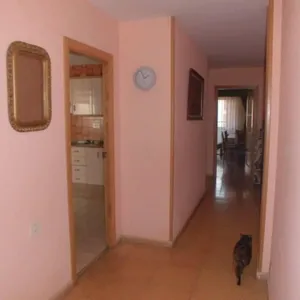Квартира в Аликанте, фото 5