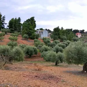 Земельный участок в Ситониа, фото 3