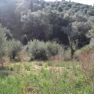 Земельный участок в Corfu, фото 4