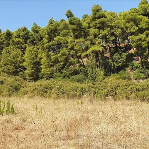 Земельный участок в Kassandra Municipality, фото 3