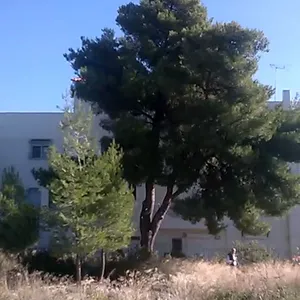 Земельный участок в Афины, фото 3