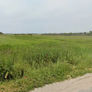 Земельный участок в Терми, фото 4