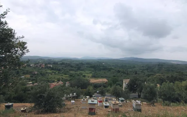 Земельный участок в Corfu