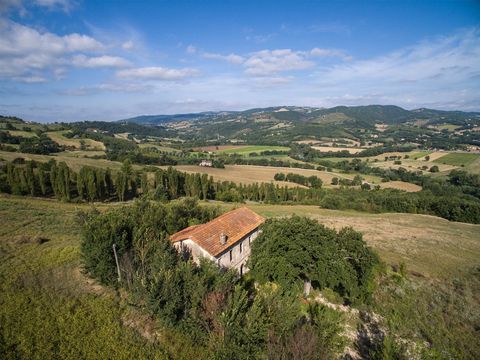 Усадьба в Тоди