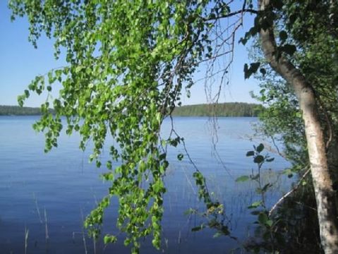 Земельный участок в Сулкава